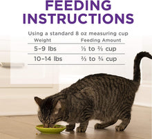 Load image into Gallery viewer, Purina Cat Chow Gentle Sensitive Stomach Adult Dry Cat Food