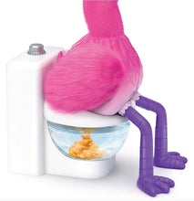Load image into Gallery viewer, Little Live Pets Gotta Go Flamingo | Interactive Plush Toy That Eats, Sings, Wiggles, Poops and Talks (Batteries Included) | Reusable Food. Ages 4+