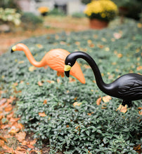 Load image into Gallery viewer, Bloem DOTCOMG8-10BK Spooky Halloween Flamingo 25&quot; Party Yard Stakes (10-Pack), 10 Pack, Orange Black
