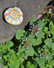 Load image into Gallery viewer, Creativity for Kids Painting Kit