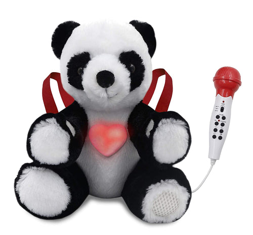 iKaraoke Karaoke System - Portable (SAL-101)