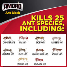 Load image into Gallery viewer, Amdro Ant Block Home Perimeter Ant Bait Granules