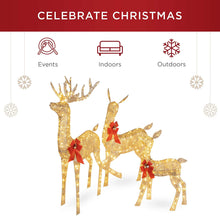 Load image into Gallery viewer, Best Choice Products 3-Piece Lighted Christmas Deer Family Set Outdoor Yard Decoration with 360 LED Lights, Stakes, Zip Ties