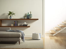 Load image into Gallery viewer, Honeywell HCM350W Germ Free Cool Mist Humidifier White