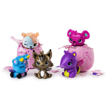 Load image into Gallery viewer, Hatchimals CollEGGtibles Season