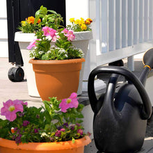 Load image into Gallery viewer, Fiskars 20-56106 6 Inch Ariana with Self-Watering Grid