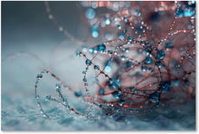 Load image into Gallery viewer, Trademark Fine Art BC0255-C1219GG Blue Silence by Beata Czyzowska Young