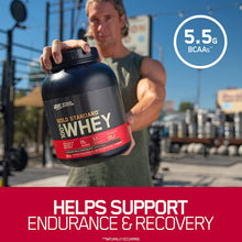 Load image into Gallery viewer, Optimum Nutrition Gold Standard 10