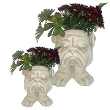 Load image into Gallery viewer, Homestyles 9 in. Antique White Bulldog Muggly Mascot Animal Statue Planter Holds a 3&quot; Pot