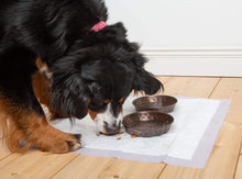 Load image into Gallery viewer, Hartz Home Protection Odor Eliminating Scented Dog Pads, Super Absorbent &amp; Won’t Leak, Lavender Scent, Pad Size &amp; Package Count Varies