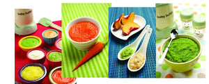 Magic Bullet Baby Bullet Baby Care System