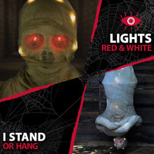 Load image into Gallery viewer, Haunted Hill Farm HHMUM-2FL Life-Size Animatronic Mummy, Color 1