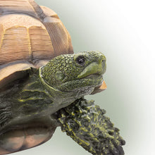 Load image into Gallery viewer, Alpine Turtle Statue, 9 Inch Tall