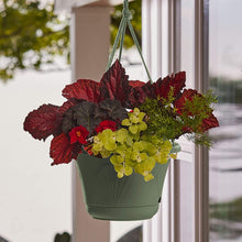 Load image into Gallery viewer, Bloem Lucca Self Watering Hanging Basket Planter