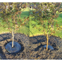 Load image into Gallery viewer, TreeDiaper Tree Hydration Mat