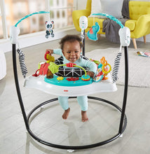 Load image into Gallery viewer, Fisher-Price Animal Wonders Jumperoo, White