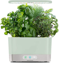 Load image into Gallery viewer, AeroGarden White Harvest Indoor Hydroponic Garden