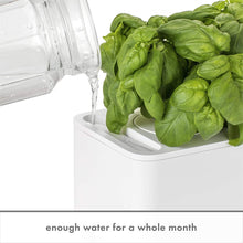 Load image into Gallery viewer, Click &amp; Grow Smart Garden 3 Indoor Herb Garden (Includes Basil Plant Pods), Beige