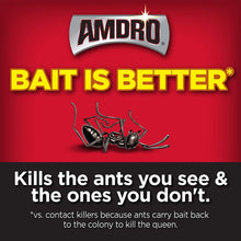 Load image into Gallery viewer, Amdro Ant Block Home Perimeter Ant Bait Granules