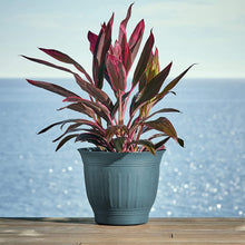 Load image into Gallery viewer, Bloem Colonnade Wood Resin Planter (CLN20-54), Forest Green, 20&quot;