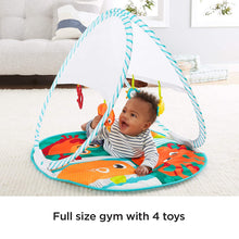 Load image into Gallery viewer, Fisher-Price Fold &amp; Go Portable Gym