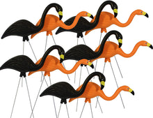 Load image into Gallery viewer, Bloem DOTCOMG8-10BK Spooky Halloween Flamingo 25&quot; Party Yard Stakes (10-Pack), 10 Pack, Orange Black