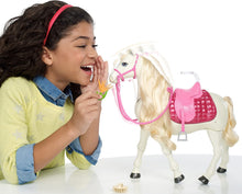 Load image into Gallery viewer, Barbie Dream Horse &amp; Black Hair Doll