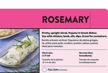 Load image into Gallery viewer, Bonnie Plants 5090 Rosemary 1-PACK 1-PACK