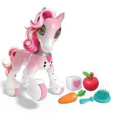 Load image into Gallery viewer, Zoomer - Show Pony Lights