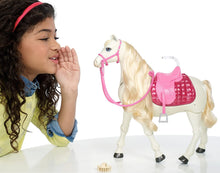 Load image into Gallery viewer, Barbie Dream Horse &amp; Black Hair Doll
