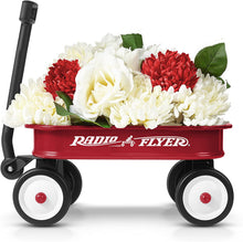 Load image into Gallery viewer, Radio Flyer Little Red Toy Wagon