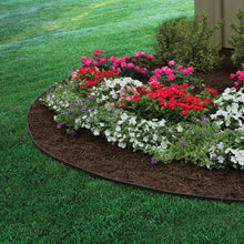 Load image into Gallery viewer, Dimex EasyFlex Plastic 24 Count Spiral Nylon Landscape Anchoring Spikes, 8-Inch (1989N-24C)