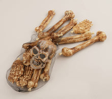 Load image into Gallery viewer, Bag of Skeleton Bones