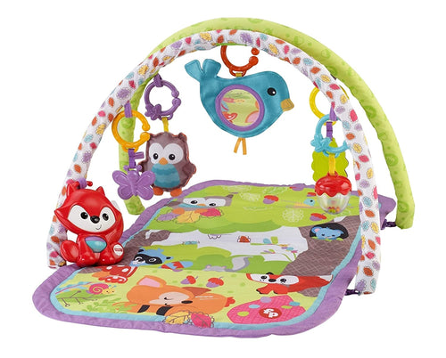 Fisher Price 3-in-1 Musical Activity Gym