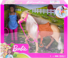 Load image into Gallery viewer, Barbie Doll, Brunette, and Horse