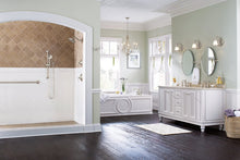 Load image into Gallery viewer, Moen Handheld Shower