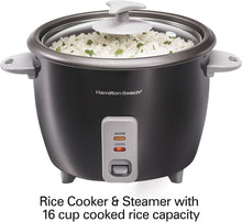 Load image into Gallery viewer, Hamilton Beach Rice Cooker &amp; Food Steamer, 16 Cups Cooked (8 Uncooked), With Steam &amp; Rinse Basket, Black (37517)