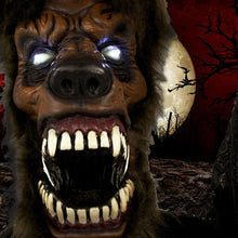 Load image into Gallery viewer, Haunted Hill Farm HHWOLF-2FLSA Life-Size Animatronic Werewolf, Indoor/Outdoor Halloween Decoration, Multi
