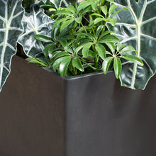 Load image into Gallery viewer, Veradek Sierra Square Garden Planter