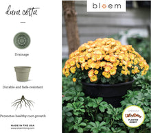 Load image into Gallery viewer, Bloem DC6-45 DCBT18-42, Living Green DCBT18-00 Dura Cotta Plant Window Box, 18-Inch, Black, 6&quot;, Chocolate