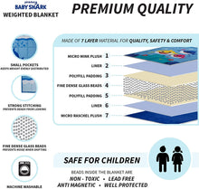 Load image into Gallery viewer, Franco Weighted Blanket with Bonus Door Knob Pillow