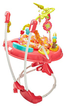 Load image into Gallery viewer, Fisher-Price Jumperoo
