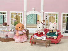 Load image into Gallery viewer, Calico Critters Town