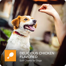 Load image into Gallery viewer, VETIQ Maximum Strength Hip and Joint Supplement for Dogs, Chicken Flavored Soft Chews