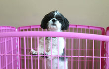 Load image into Gallery viewer, IRIS 24&#39;&#39; Exercise 4 + 2 Panel Pet Playpen without Door