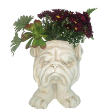 Load image into Gallery viewer, Homestyles 9 in. Antique White Bulldog Muggly Mascot Animal Statue Planter Holds a 3&quot; Pot