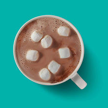 Load image into Gallery viewer, HERSHEY&#39;S Chocolate Syrup