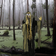 Load image into Gallery viewer, Haunted Hill Farm HHWITCH-9FLS Life-Size Animatronic Witch, Indoor/Outdoor Halloween Decoration, Multi