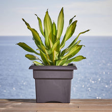 Load image into Gallery viewer, Bloem Fiskars Veranda Box Planter