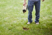 Load image into Gallery viewer, Scotts 17511 Seed Tall Fescue Lawns 3.75 LB